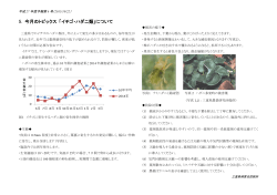 イチゴ・ハダニ類 - MATe（三重県農業技術情報システム）