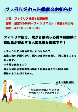 詳細はリンク先PDFをご覧ください。
