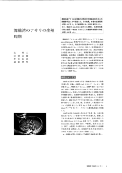 舞鶴湾産アサリの生殖腺の成熟状況を組織学的手法と肉 眼観察手法