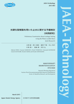 JAEA-Technology-2015-003:3.95MB