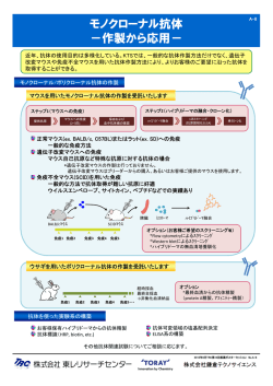 モノクローナル抗体 －作製から応用－