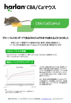 CBA/Caマウス