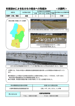冬期湛水による生きもの保全への取組み ≪川西町≫
