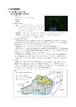 ホタル・水生昆虫