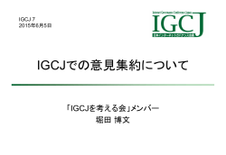 IGCJでの意見集約について - 日本インターネットガバナンス会議