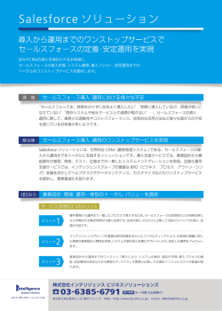 Saーesf。rce ソリューショ ン - 株式会社インテリジェンス ビジネス