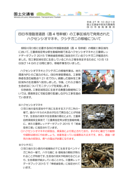（霞 4 号幹線）の工事区域内で発見された ハクセンシオマネキ