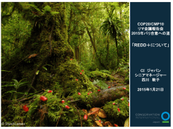 資料：REDD+について