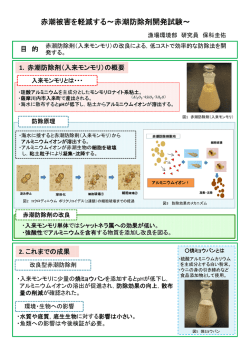 赤潮防除剤開発試験の概要