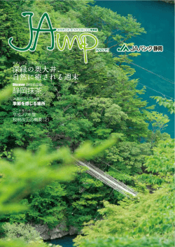 JAmp Vol.18