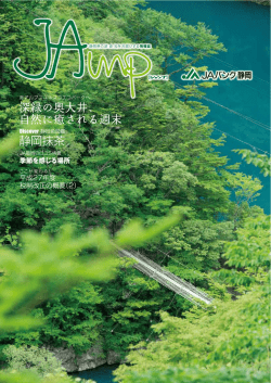 JAmp Vol.18