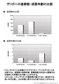 14.ザリガニの不思議⑤ザリガニの産卵数と成熟年齢の比較
