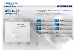NSS U-22 PDF - NISSHIN STEEL