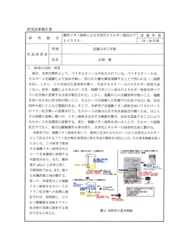 酸性イオン液体による次世代エネルギー創出のブレイクスルー(PDF