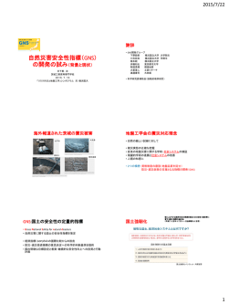 自然災害安全性指標（GNS） - 横浜国立大学 先端科学高等研究院