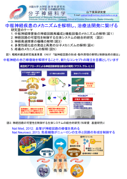 中枢神経疾患のメカニズムを解明し、治療法開発に繋げる
