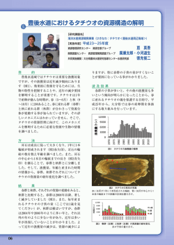 豊後水道におけるタチウオの資源構造の解明