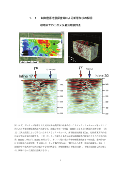 1．1. 制御震源地震探査等による断層形状の解明 榎地区での三次元