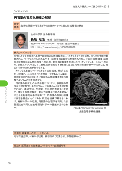 植物の 円石藻の石灰化機構の解明 長坂 征治