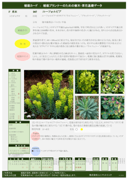 植栽カード ： 植栽プランナーのための樹木・草花基礎データ ユーフォルビア