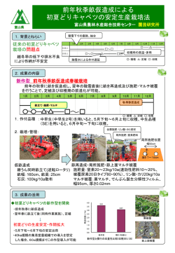 前年秋季畝仮造成による 初夏どりキャベツの安定生産栽培法