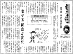 花のトゲ