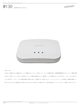 W130 WLAN/Access Point Overview