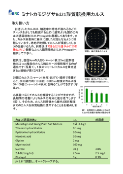 ミナトカモジグサBd21形質転換用カルス - Experimental Plant Division
