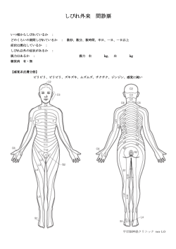 しびれ外来 問診票 - 平岸脳神経クリニック