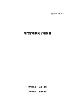 業務完了報告書  - JICAナレッジサイト