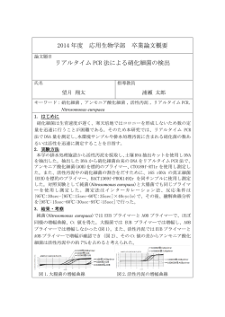 リアルタイムPCR法による硝化細菌の検出