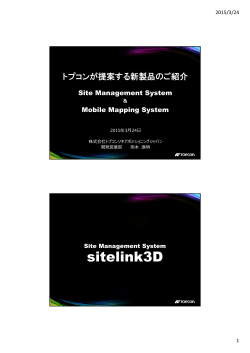 sitelink3D