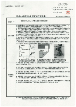 平成24年度 助成 研究終了報告書 ※ゴシック文字で記入下さい〟