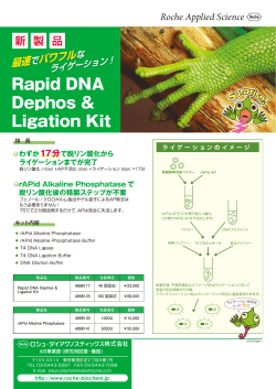 Rapid DNA Dephos & Ligation Kit