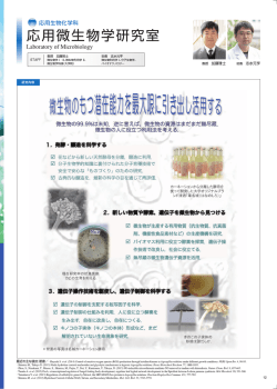 PDFファイル