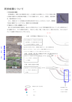 阿多岐層について