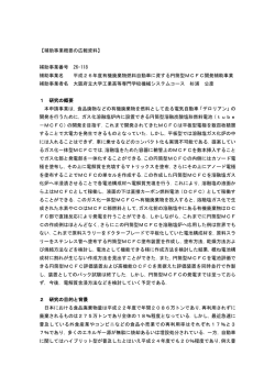 補助事業概要の広報資料