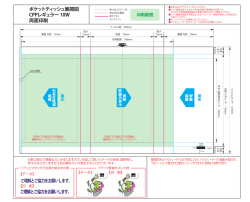 ポケットティッシュ展開図 CPPレギュラー 10W 両面印刷