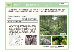 0049：北海道王子製紙間伐促進プロジェクト