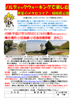 H27.12.5 相模原公園NWチラシ.