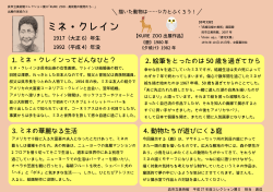 出展作家紹介③ミネ・クレイン pdf（162KB）