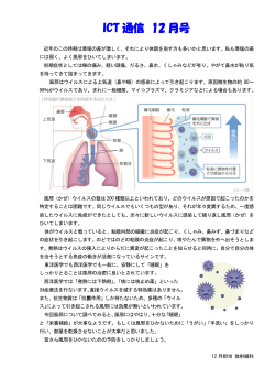 2014年12月号 風邪ウイルスに関する情報（PDF：209KB）