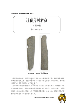 柱状片刃 石 斧