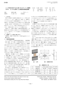 レンズ形状を有するせん断パネルダンパーの開発 その5 ランダム波形