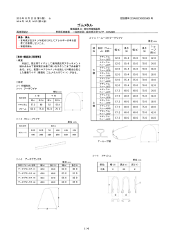 添付文書 - ロッキーマウンテンモリタ