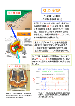 SLD 実験