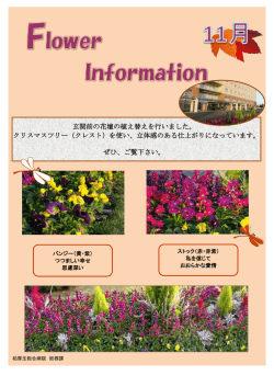 玄関前の花壇の植え替えを行いました。 クリスマス