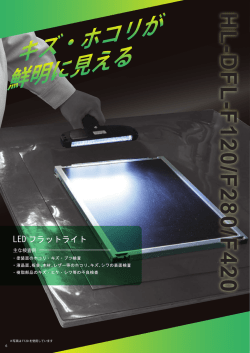 リ ープキズー ブツ検査 ー 塗装面のホコ