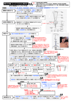 眼圧検査（シェッツ：Schioetz 眼圧計）