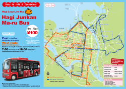 Hagi Loop-Line Bus